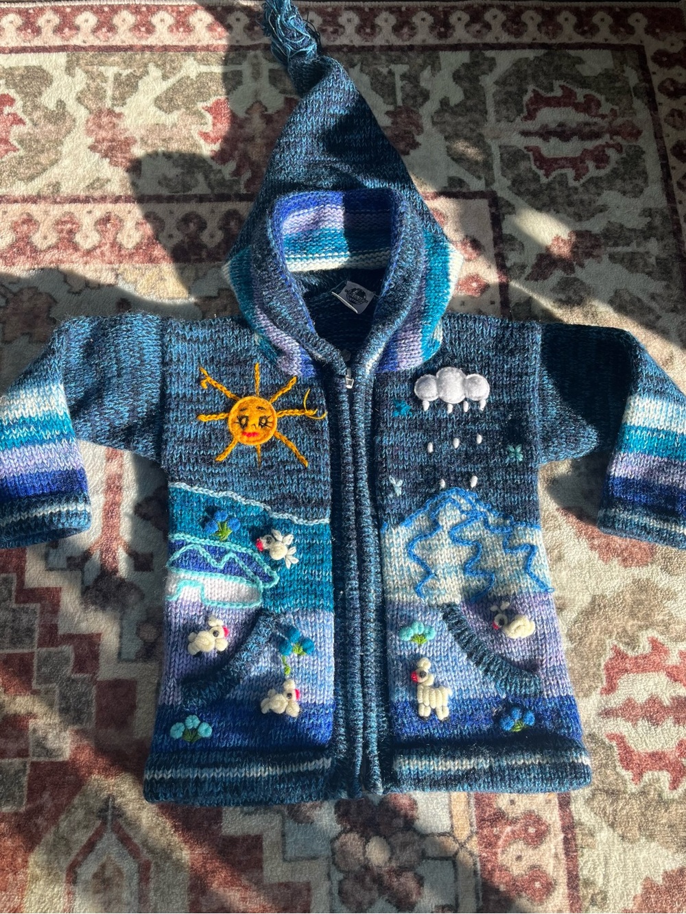 Kids Hooded Zip Sweater Jacket